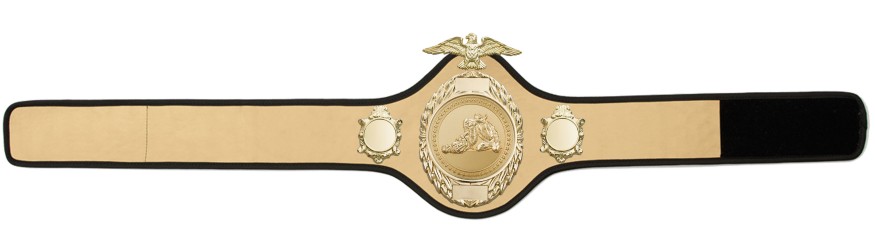 JIU JITSU CHAMPIONSHIP BELT-PRO288/G/JJG - 10 COLOURS JIU JITSU CHAMPIONSHIP BELT-PRO288/G/JJG - 10 COLOURS